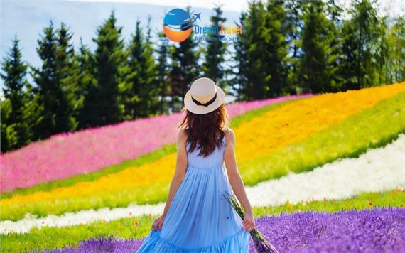 [HCM] Tour Nhật Bản Khám Phá Hokkaido Mùa Hè 2026